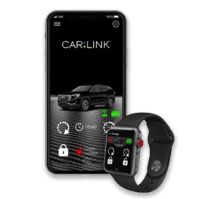 Carlink2-300×282